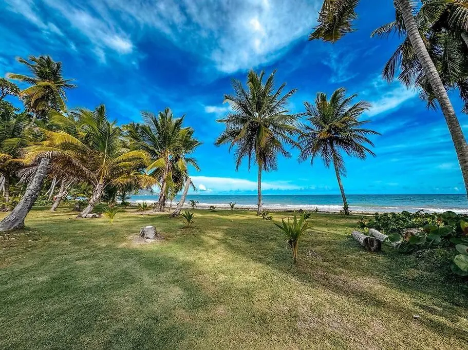 Daire Casa Arroyo Oceanfront Apt In Campomar Resort Porto Riko